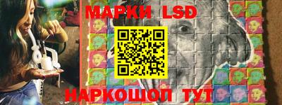 прущие грибы Волжск