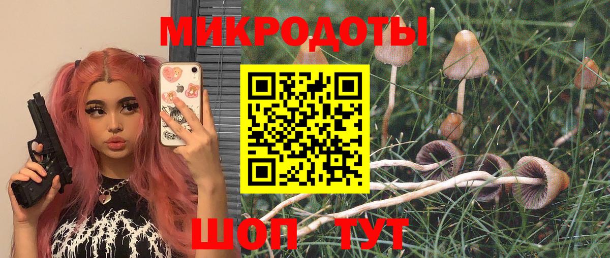 Галлюциногенные грибы прущие грибы  Вход с VPN  Мценск 